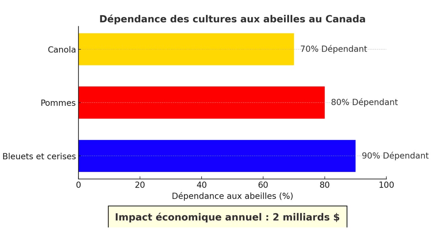 pollinisation par les abeilles melliferes